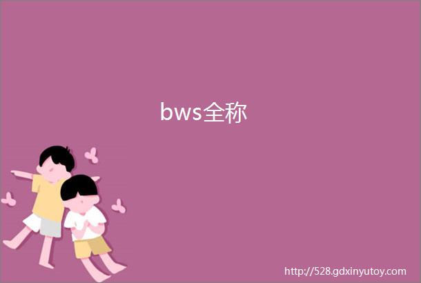 bws全称