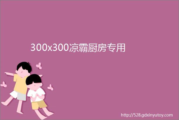 300x300凉霸厨房专用