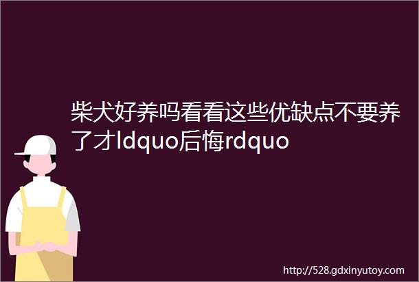 柴犬好养吗看看这些优缺点不要养了才ldquo后悔rdquo