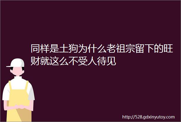 同样是土狗为什么老祖宗留下的旺财就这么不受人待见