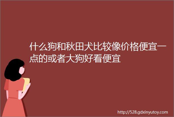 什么狗和秋田犬比较像价格便宜一点的或者大狗好看便宜